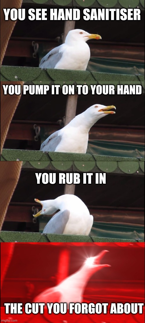 relatable | YOU SEE HAND SANITISER; YOU PUMP IT ON TO YOUR HAND; YOU RUB IT IN; THE CUT YOU FORGOT ABOUT | image tagged in memes,inhaling seagull | made w/ Imgflip meme maker