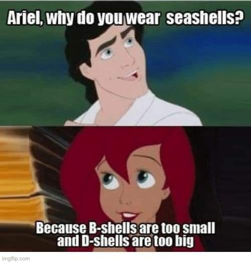 Sea-Shells | image tagged in bad pun | made w/ Imgflip meme maker