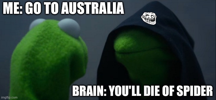 Evil Kermit | ME: GO TO AUSTRALIA; BRAIN: YOU'LL DIE OF SPIDER | image tagged in memes,evil kermit | made w/ Imgflip meme maker