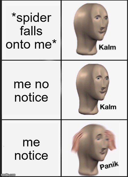 Panik Kalm Panik | *spider falls onto me*; me no notice; me notice | image tagged in memes,panik kalm panik | made w/ Imgflip meme maker