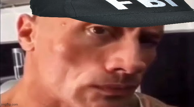 the rock eyebrow | image tagged in the rock eyebrow | made w/ Imgflip meme maker