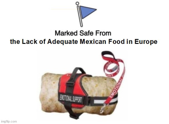 Emotional Support Burrito | image tagged in marked safe from,burrito,mexican food,emotional support,expat | made w/ Imgflip meme maker
