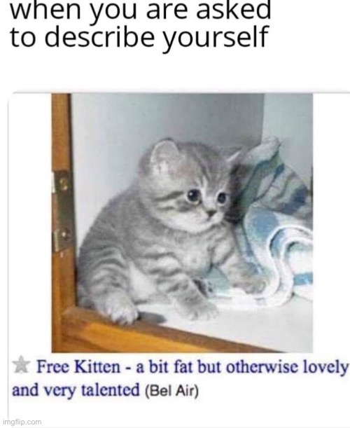 image tagged in memes,funny,wholesome | made w/ Imgflip meme maker