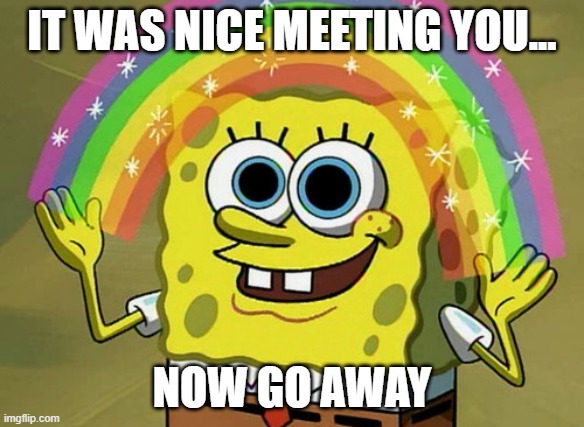 Sarcasm: The best way to be nice and mean at once | IT WAS NICE MEETING YOU... NOW GO AWAY | image tagged in memes,imagination spongebob | made w/ Imgflip meme maker