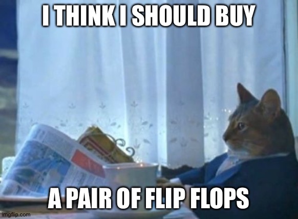 I Should Buy A Boat Cat Meme | I THINK I SHOULD BUY; A PAIR OF FLIP FLOPS | image tagged in memes,i should buy a boat cat | made w/ Imgflip meme maker