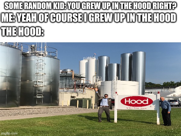 ME: YEAH OF COURSE I GREW UP IN THE HOOD; SOME RANDOM KID: YOU GREW UP IN THE HOOD RIGHT? THE HOOD: | image tagged in lol so funny,memes,hood | made w/ Imgflip meme maker