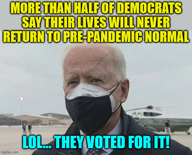 Sorry... but you voted for it... | MORE THAN HALF OF DEMOCRATS SAY THEIR LIVES WILL NEVER RETURN TO PRE-PANDEMIC NORMAL; LOL... THEY VOTED FOR IT! | image tagged in silly,democrats,stupid liberals | made w/ Imgflip meme maker