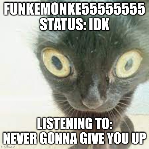 nerd | FUNKEMONKE55555555 STATUS: IDK; LISTENING TO: NEVER GONNA GIVE YOU UP | image tagged in funkemonke5555555 shidpost | made w/ Imgflip meme maker