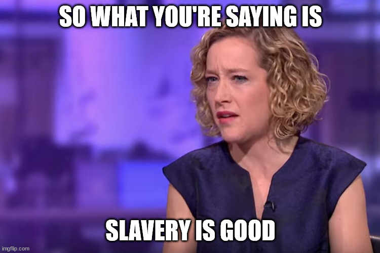 So what you're saying is slavery is good? | SO WHAT YOU'RE SAYING IS; SLAVERY IS GOOD | image tagged in jordan peterson - so what you're saying | made w/ Imgflip meme maker