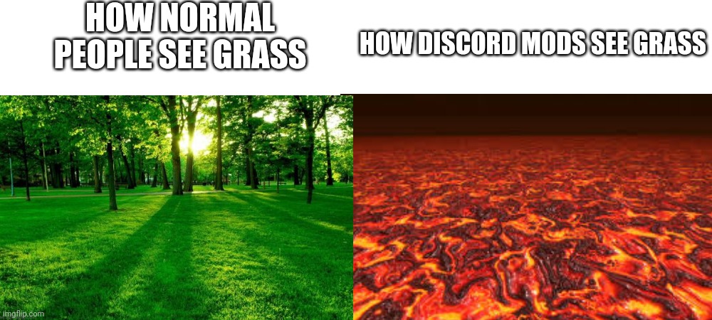 HOW NORMAL PEOPLE SEE GRASS HOW DISCORD MODS SEE GRASS | made w/ Imgflip meme maker