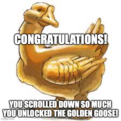 congratulations! | CONGRATULATIONS! YOU SCROLLED DOWN SO MUCH YOU UNLOCKED THE GOLDEN GOOSE! | image tagged in golden goose | made w/ Imgflip meme maker