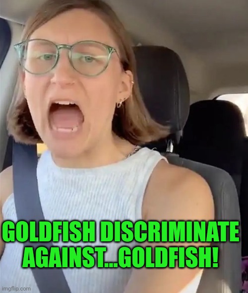 Unhinged Liberal Lunatic Idiot Woman Meltdown Screaming in Car | GOLDFISH DISCRIMINATE AGAINST...GOLDFISH! | image tagged in unhinged liberal lunatic idiot woman meltdown screaming in car | made w/ Imgflip meme maker