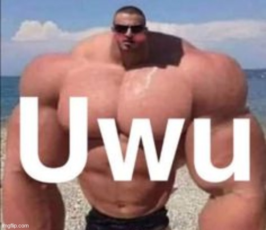 omgg so kwaiii | made w/ Imgflip meme maker