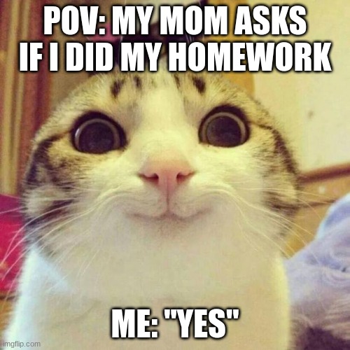 Smiling Cat Meme | POV: MY MOM ASKS IF I DID MY HOMEWORK; ME: "YES" | image tagged in memes,smiling cat | made w/ Imgflip meme maker