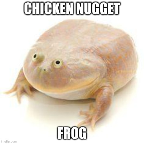 chicken nugget frog | CHICKEN NUGGET; FROG | image tagged in wednesday frog blank | made w/ Imgflip meme maker