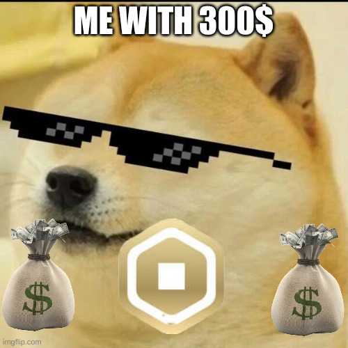 Sunglass Doge | ME WITH 300$ | image tagged in sunglass doge | made w/ Imgflip meme maker