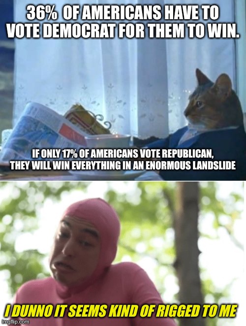 36%  OF AMERICANS HAVE TO VOTE DEMOCRAT FOR THEM TO WIN. IF ONLY 17% OF AMERICANS VOTE REPUBLICAN, THEY WILL WIN EVERYTHING IN AN ENORMOUS LANDSLIDE; I DUNNO IT SEEMS KIND OF RIGGED TO ME | image tagged in memes,i should buy a boat cat,i dunno man seems kinda gay to me | made w/ Imgflip meme maker