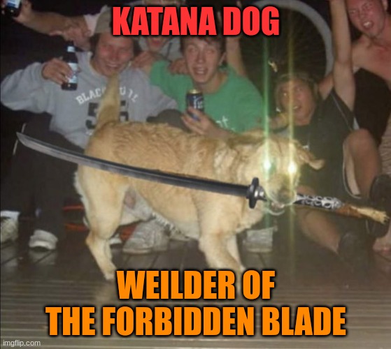 his blade can cut through almost any material | KATANA DOG; WEILDER OF THE FORBIDDEN BLADE | made w/ Imgflip meme maker