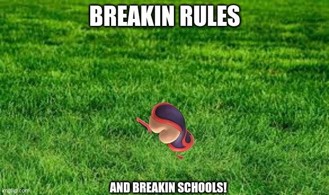 touching grass | BREAKIN RULES AND BREAKIN SCHOOLS! | image tagged in touching grass | made w/ Imgflip meme maker