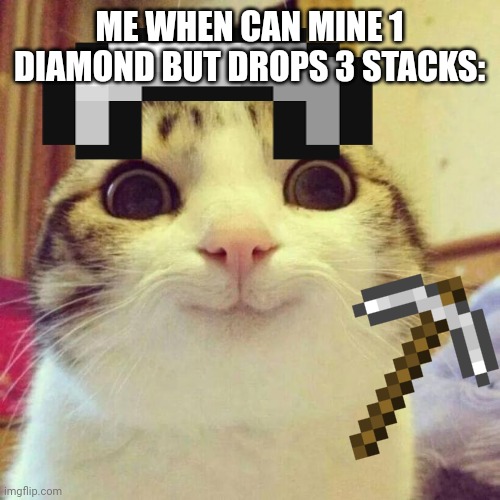 I just wanna make the title with:How's your reaction | ME WHEN CAN MINE 1 DIAMOND BUT DROPS 3 STACKS: | image tagged in memes,smiling cat | made w/ Imgflip meme maker
