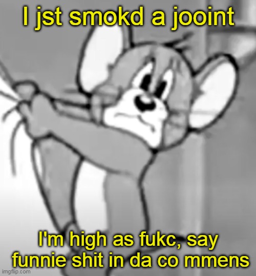 Mozzarella_ :Ship one to me it i m only cross country | I jst smokd a jooint; I'm high as fukc, say  funnie shit in da co mmens | image tagged in awww the skrunkly | made w/ Imgflip meme maker