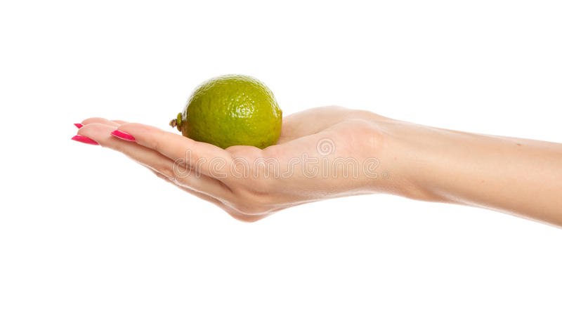 Please hold the lime Blank Meme Template