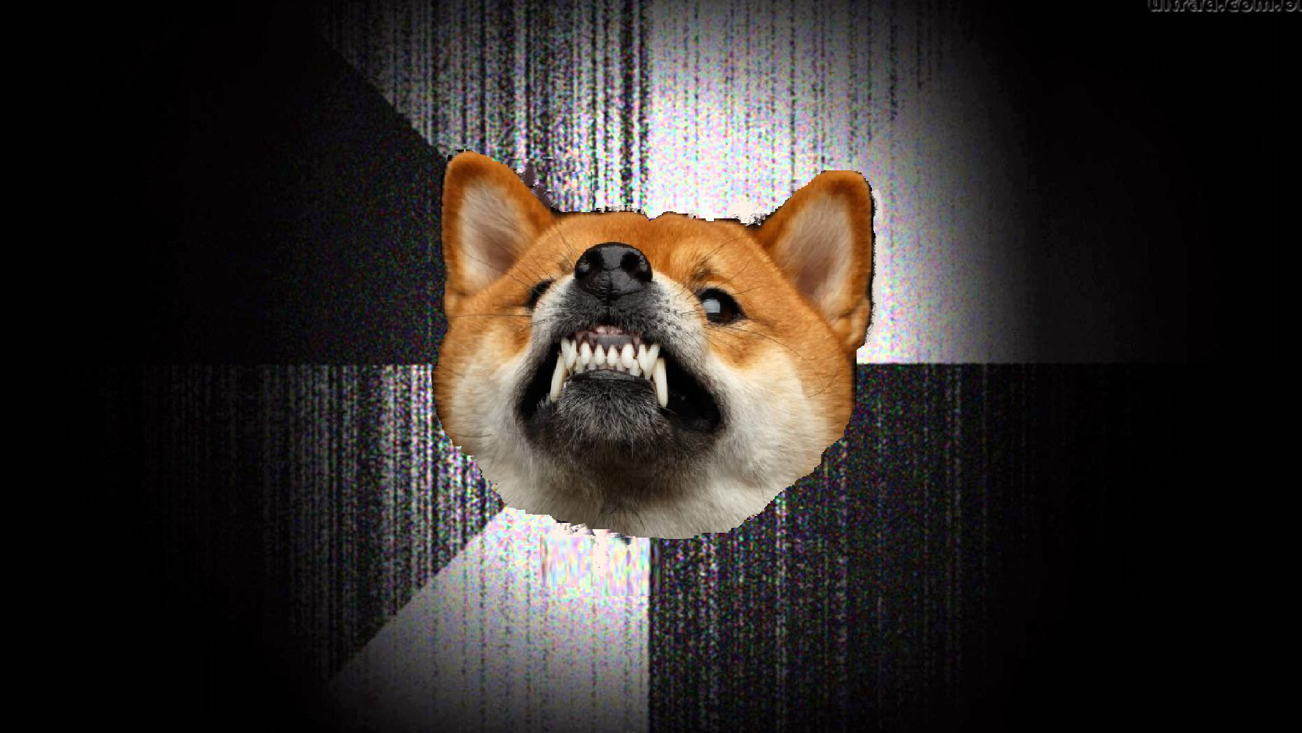 Insanity Shiba Blank Meme Template