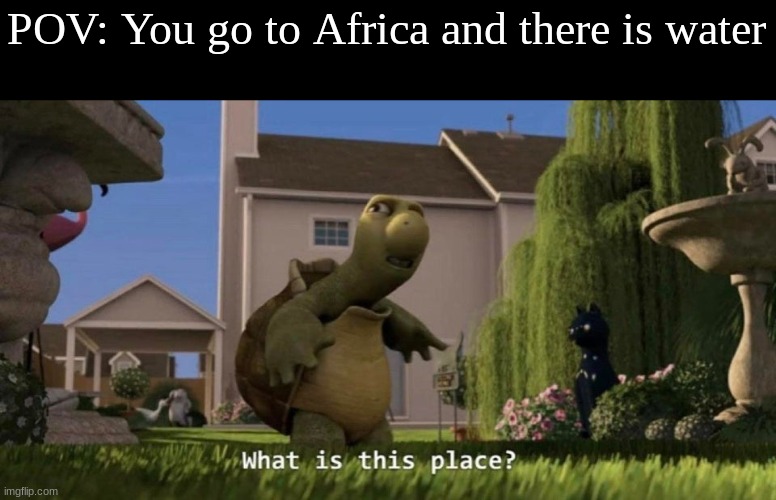 What is this place | POV: You go to Africa and there is water | image tagged in what is this place | made w/ Imgflip meme maker