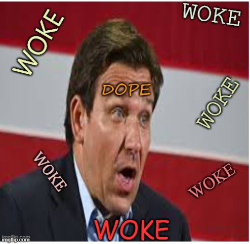 The unwoke dope | image tagged in maga,woke,lies,fascist,politics | made w/ Imgflip meme maker