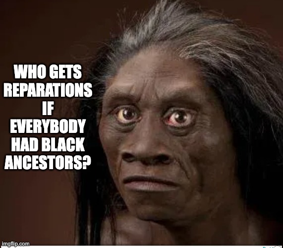 Gee, we never thought about the science... | WHO GETS REPARATIONS IF EVERYBODY HAD BLACK ANCESTORS? | image tagged in reparations,black,slaves | made w/ Imgflip meme maker
