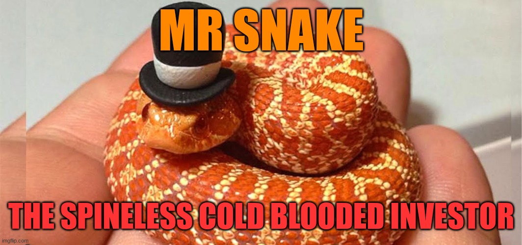 MR SNAKE; THE SPINELESS COLD BLOODED INVESTOR | made w/ Imgflip meme maker