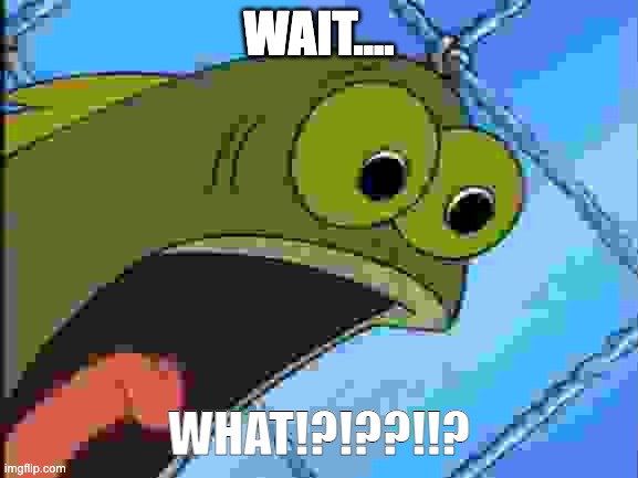 You what?! | WAIT.... WHAT!?!??!!? | image tagged in you what | made w/ Imgflip meme maker