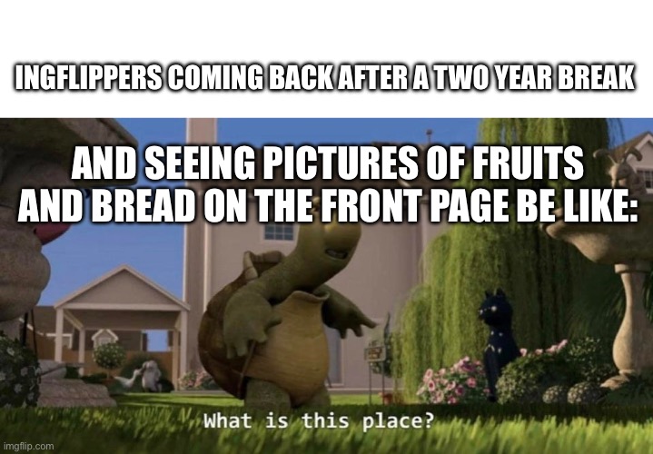 What is this place | INGFLIPPERS COMING BACK AFTER A TWO YEAR BREAK; AND SEEING PICTURES OF FRUITS AND BREAD ON THE FRONT PAGE BE LIKE: | image tagged in what is this place | made w/ Imgflip meme maker