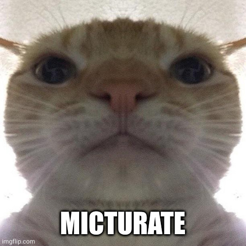 Staring Cat/Gusic | MICTURATE | image tagged in staring cat/gusic | made w/ Imgflip meme maker