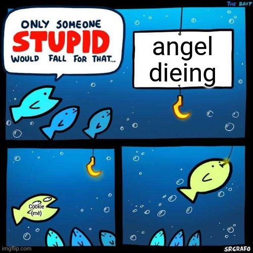 Only someone stupid would fall for that | angel dieing; Cookie (mě) | image tagged in only someone stupid would fall for that | made w/ Imgflip meme maker