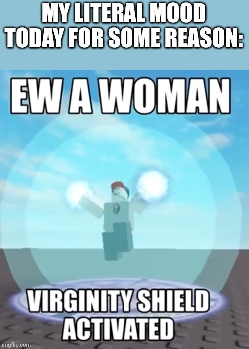 Ew a woman virginity shield activated | MY LITERAL MOOD TODAY FOR SOME REASON: | image tagged in ew a woman virginity shield activated | made w/ Imgflip meme maker