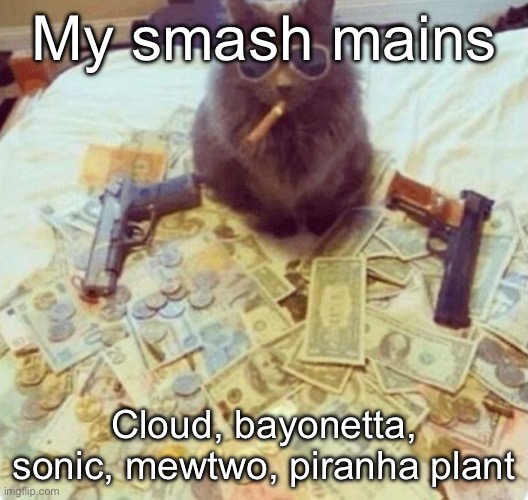 The Cat | My smash mains; Cloud, bayonetta, sonic, mewtwo, piranha plant | image tagged in the cat | made w/ Imgflip meme maker