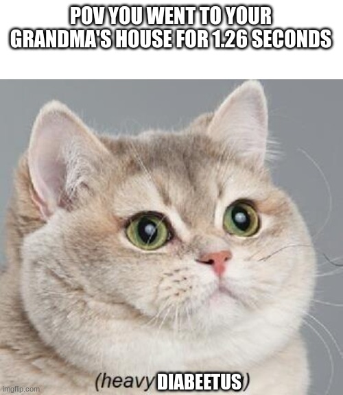 wilford brimley diabeetus... | POV YOU WENT TO YOUR GRANDMA'S HOUSE FOR 1.26 SECONDS; DIABEETUS | image tagged in memes,heavy breathing cat,diabeetus,grandma,fat | made w/ Imgflip meme maker