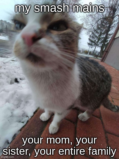 wow so funny | my smash mains; your mom, your sister, your entire family | image tagged in this angry goofy ass cat | made w/ Imgflip meme maker