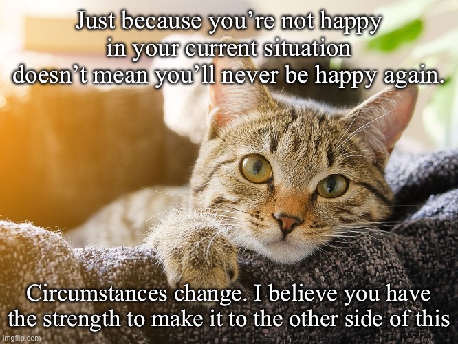 Just because you’re not happy in your current situation doesn’t mean you’ll never be happy again. Circumstances change. I believe you have the strength to make it to the other side of this | image tagged in motivational,cat,inspiration | made w/ Imgflip meme maker