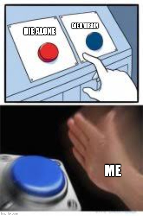 Red and Blue Buttons | DIE ALONE DIE A VIRGIN ME | image tagged in red and blue buttons | made w/ Imgflip meme maker