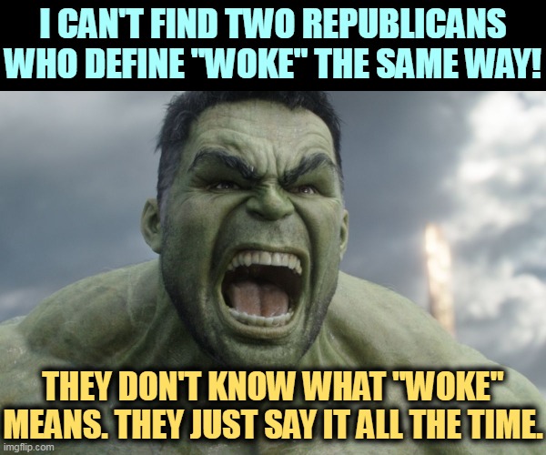 Woke, woke, woke, Yawn. Politicians get excited, but the voters don't care. | I CAN'T FIND TWO REPUBLICANS WHO DEFINE "WOKE" THE SAME WAY! THEY DON'T KNOW WHAT "WOKE" MEANS. THEY JUST SAY IT ALL THE TIME. | image tagged in raging hulk,woke,ignorance,stupidity,hatred | made w/ Imgflip meme maker