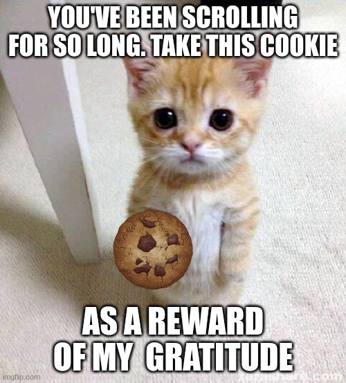 Cute Cat | YOU'VE BEEN SCROLLING FOR SO LONG. TAKE THIS COOKIE; AS A REWARD OF MY  GRATITUDE | image tagged in memes,cute cat | made w/ Imgflip meme maker