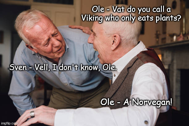Ole and Sven - Norvegan | Ole - Vat do you call a Viking who only eats plants? Sven - Vell, I don't know, Ole. Ole - A Norvegan! | image tagged in ole and sven jokes | made w/ Imgflip meme maker