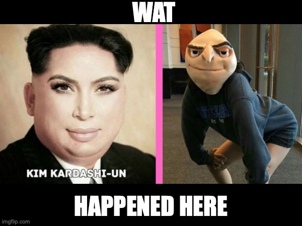 At this point I am just dying of absolute, pure cringe | WAT; HAPPENED HERE | image tagged in cursed image,kim jong un,kim kardashian,cringe,gru | made w/ Imgflip meme maker