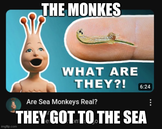 The sea Monkes | THE MONKES; THEY GOT TO THE SEA | image tagged in monkey | made w/ Imgflip meme maker