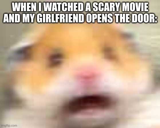 HAmpter | WHEN I WATCHED A SCARY MOVIE AND MY GIRLFRIEND OPENS THE DOOR: | image tagged in hampter | made w/ Imgflip meme maker