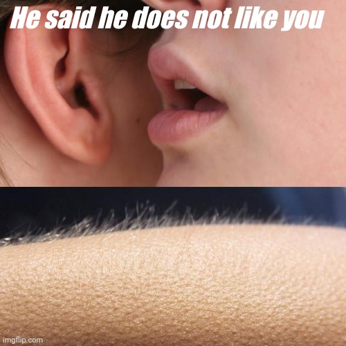 Whisper and Goosebumps | He said he does not like you | image tagged in whisper and goosebumps,silly | made w/ Imgflip meme maker