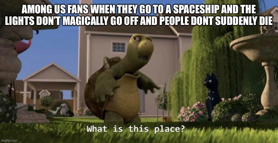 What is this place | AMONG US FANS WHEN THEY GO TO A SPACESHIP AND THE LIGHTS DON’T MAGICALLY GO OFF AND PEOPLE DONT SUDDENLY DIE | image tagged in what is this place | made w/ Imgflip meme maker