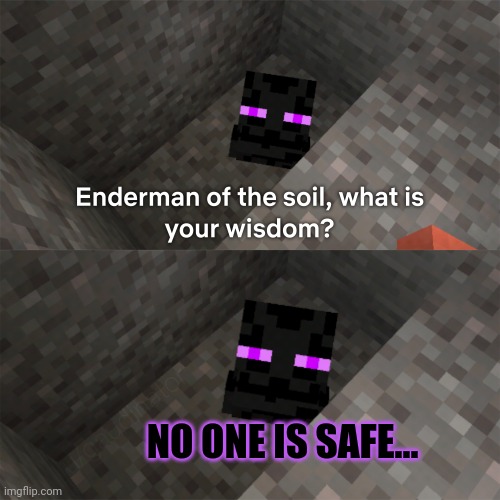 No this is not ok | NO ONE IS SAFE... | image tagged in enderman of the soil,minecraft,enderman | made w/ Imgflip meme maker